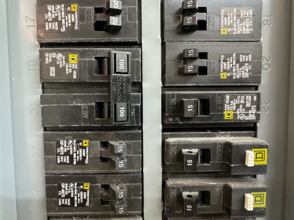 Panel